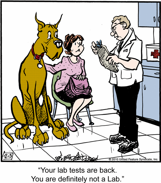 marmaduke